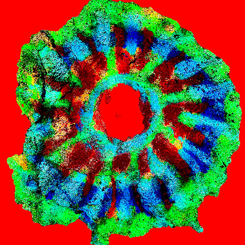 21JUL25//geronimo@sykkelbryggeriet1_set_backyard_19072025