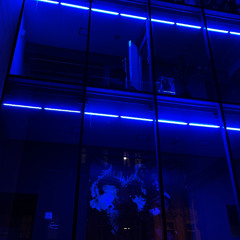 Neon Echoes