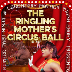 DJ Nightwing - Circus Puss