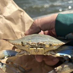 Dept of Defense 218735157 218770392