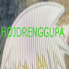 højdrengGupa (prod. sincerelydre) /ingenadlibspecial/