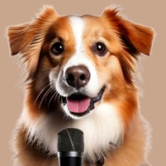 Happy Tails – Heartwarming Adoption Stories