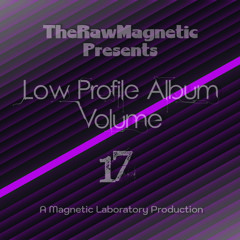 LowProfileAlbum Volume 17