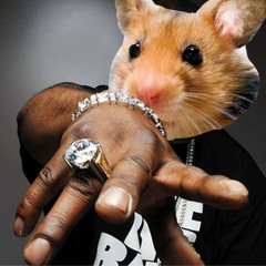 Hamster Rhymes (hamster dance x wuki)