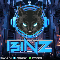 Gửi Người Em Hà Tĩnh (Remix)DJ BINZ