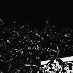 PRAYED 4 (PROD. BY DGTHEGREAT)