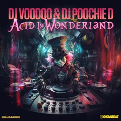 DJ Voodoo & DJ Poochie D - Acid In Wonderland