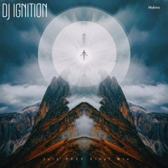 DJ IGNITION - Vinyl Makina Mix - July 2025