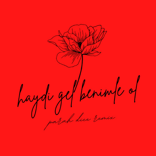 Haydi Gel Benimle Ol (Parah Dice Remix) [DL Clean Version]