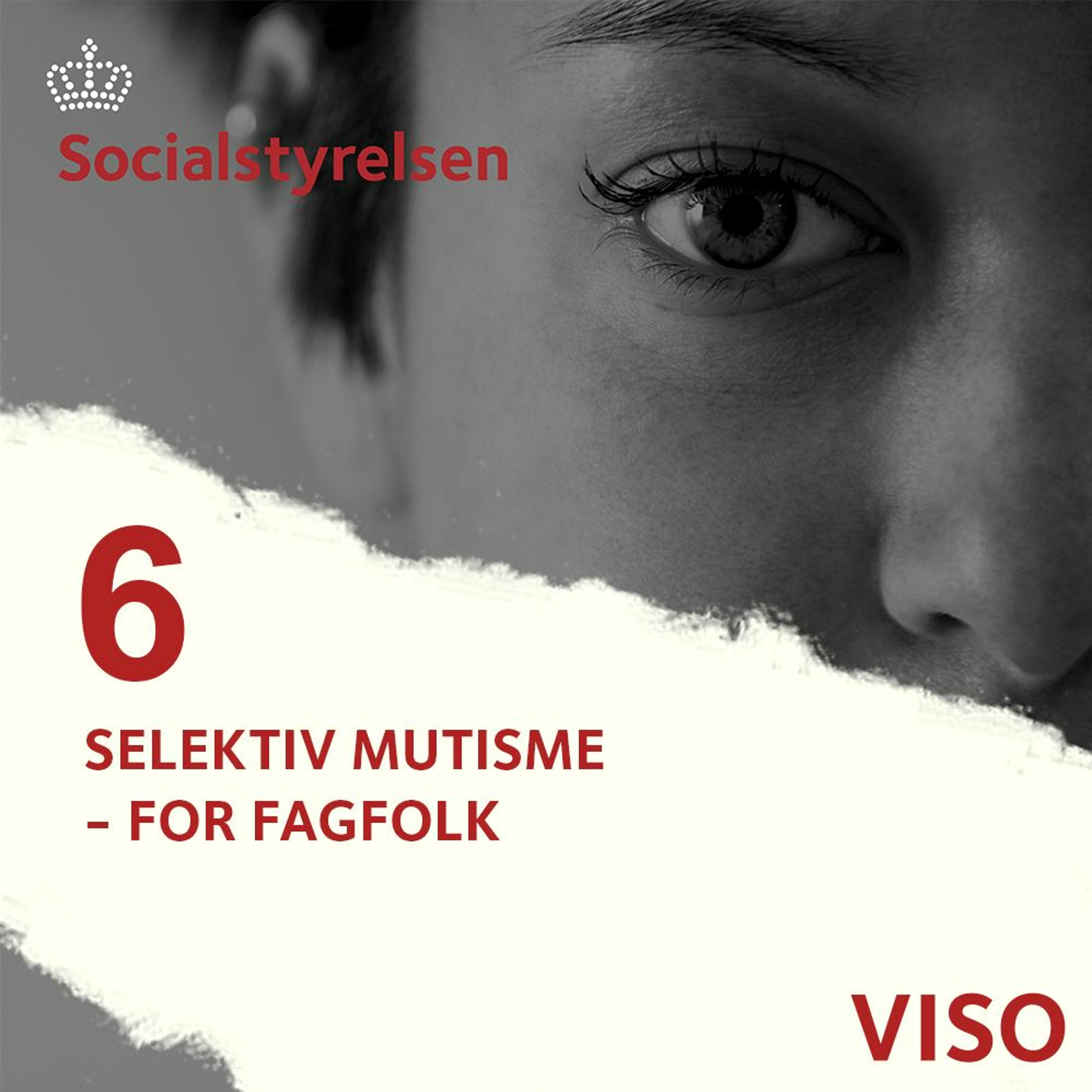 Social- og Boligstyrelsen