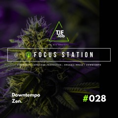 Downtempo Zen #028 - Melodies for the Mind | 🛋️ Deep Focus dj mix session 慢摇