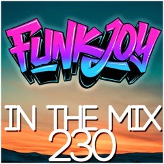 funkjoy - In The Mix 230