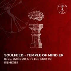 PREMIERE: Soulfeed - Copper Feel (Peter Makto Remix) [Zenebona]