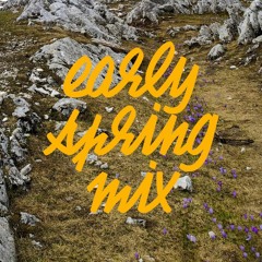 2024 Early Spring Mix