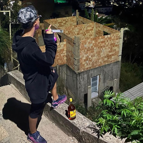 RESUMO COM AS PATY