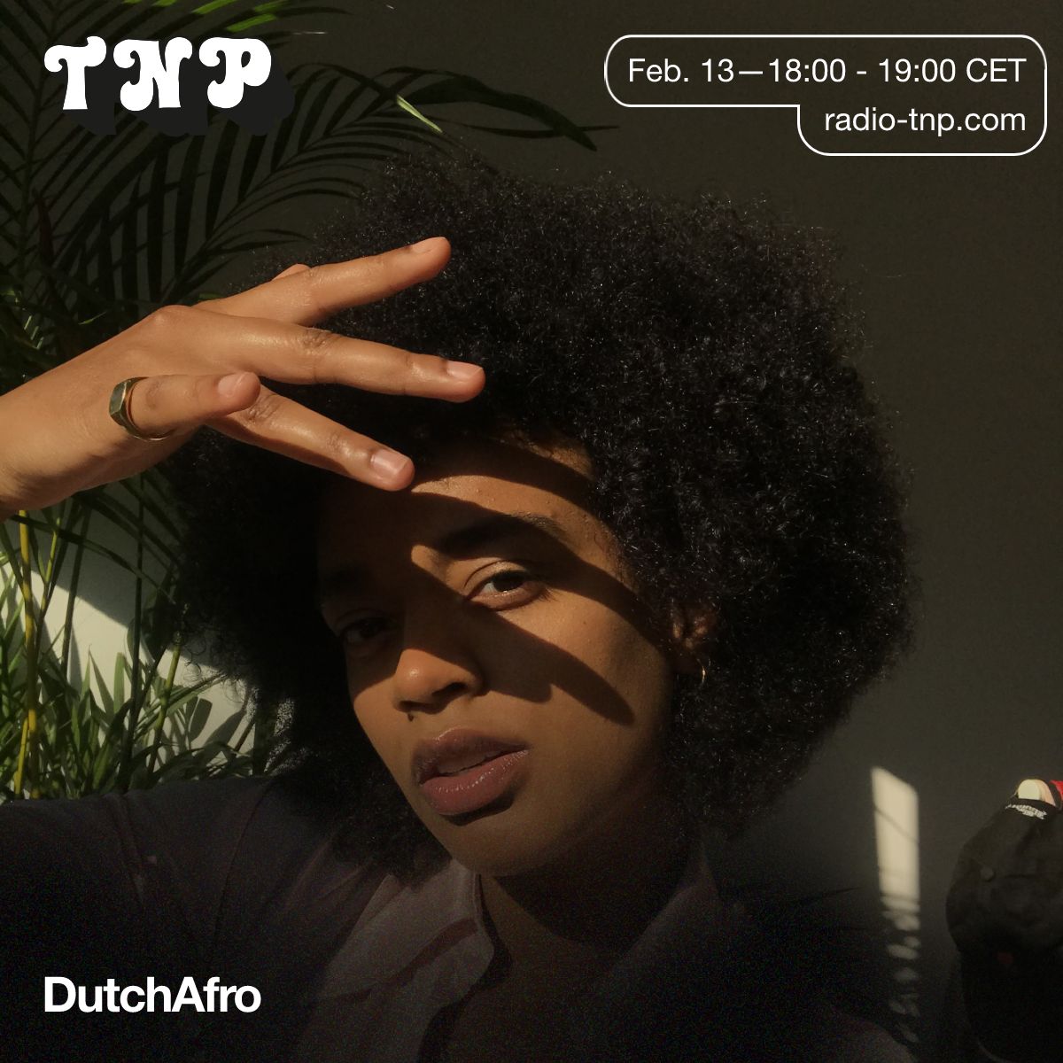DutchAfro