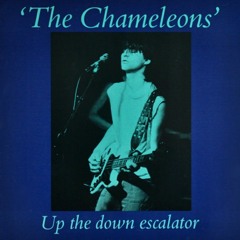 Up the Down Escalator by RAFALOTE72