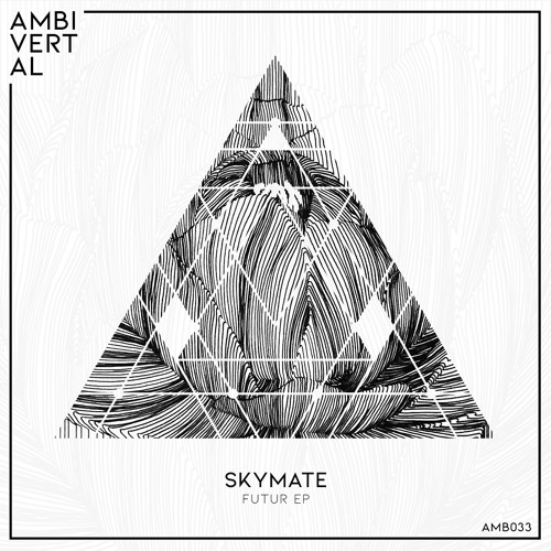 Skymate - Futur (Original Mix) / Preview