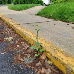 breath ("Look Up" prod. toni)