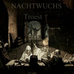 Nachtwuchs 'Im heiligen Hein' (teutonic blackened industrial metal)