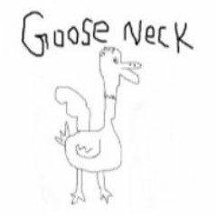 Goose Neck