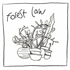 suoni n.7 _ Forest Law