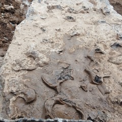 David ben-edward Tobin - freestyle singing  2026-01-02 13_32.m4a