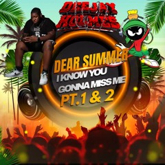 Dear Summer I Know You Gonna Miss Me Pt.2 - DJHolmesNyc