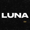 Download Video: LUNA