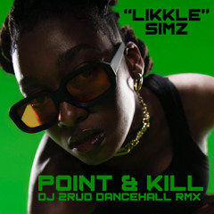 LITTLE SIMZ - POINT & KILL (DJ 2RUD DANCEHALL RMX)