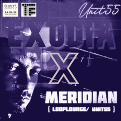 250302_MERIDIAN - EXODIA X