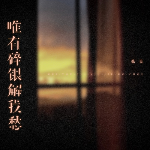 唯有碎银解我愁 (烟嗓男版伴奏)