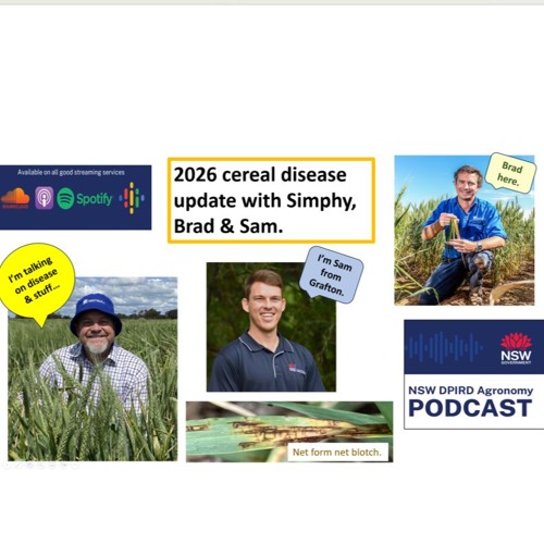Stream episode Cereal disease update with Brad, Steve and Sam, June ...