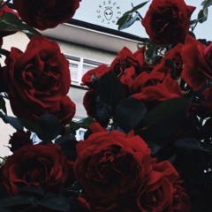 Veason - Ona jest upalona