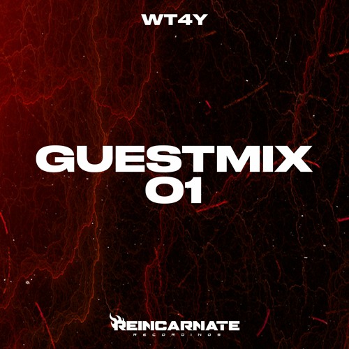 Reincarnate Guestmix 01 - WT4Y