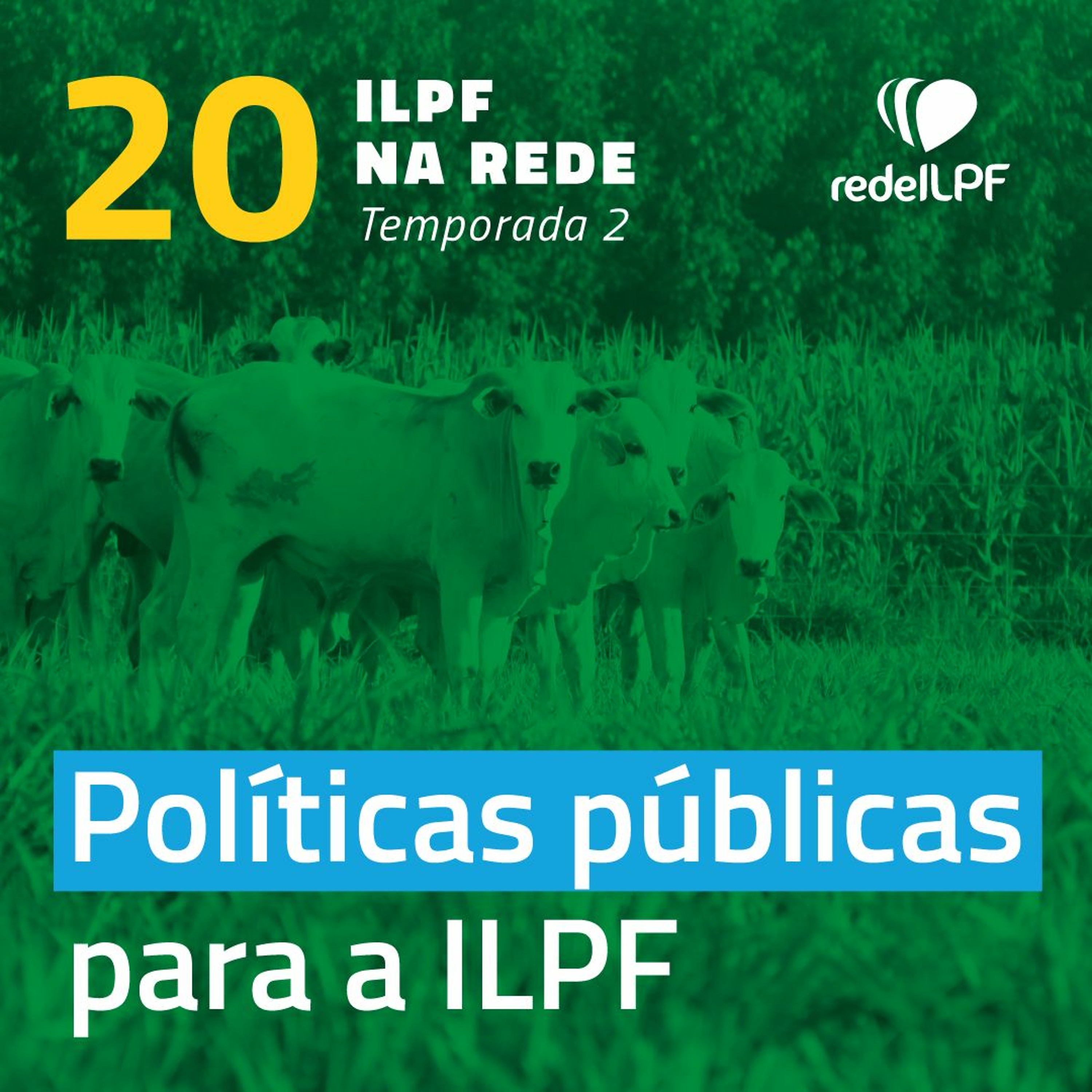 ILPF Na Rede