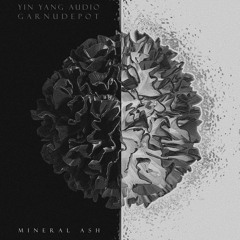 Yin Yang Audio & GARNUDEPOT - Mineral Ash