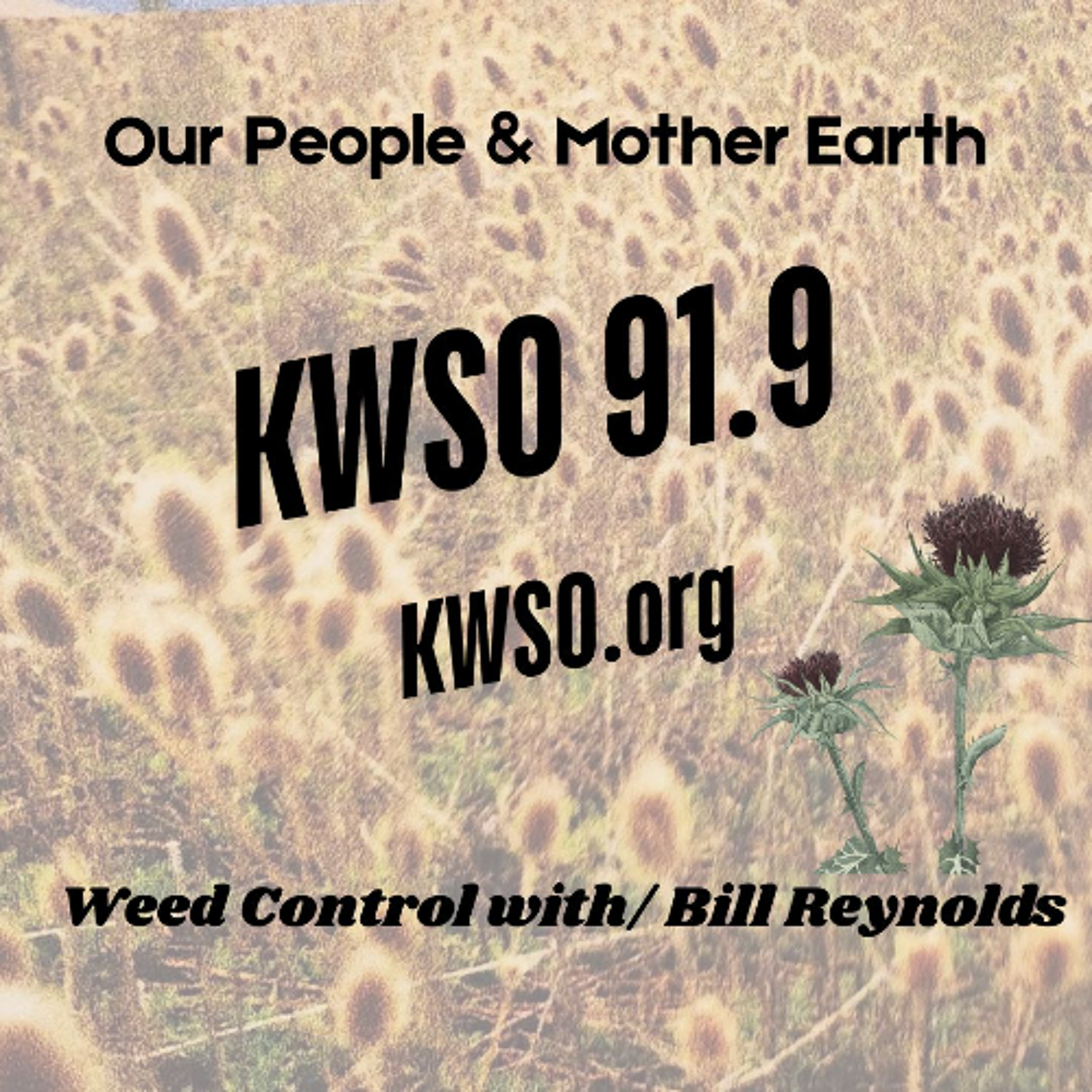KWSO Radio