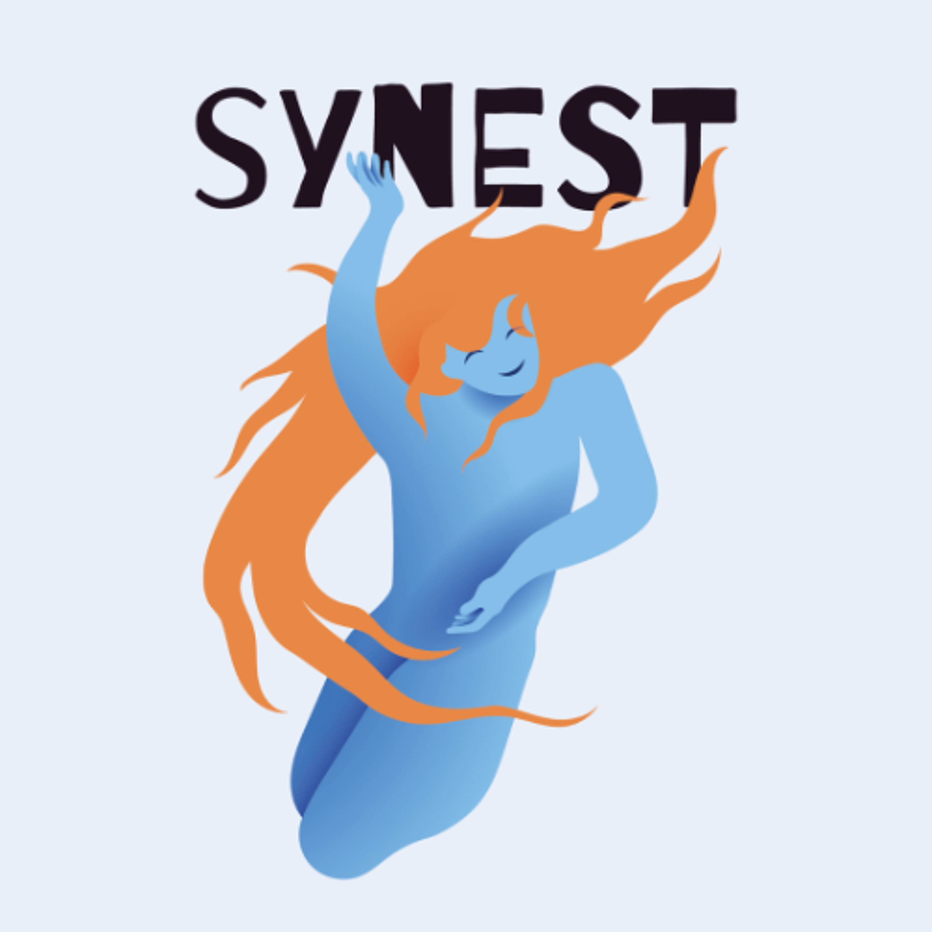Reportage sur la 2ème édition du Festival Synest  de Sommières episode artwork