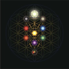 The Kabbalah of Character 2024