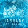 Kolya Funk - January 2021 Megamix Kolya Funk - January 2021 Megamix