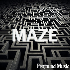 Maze (prod. Hundro x GavinHadley)