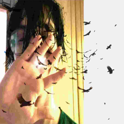 tewiq,callmydd -  i have no rules