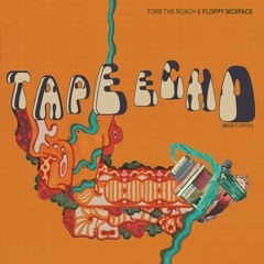 Torb The Roach & Floppy McSpace - Tape Echo - Gold Floppies