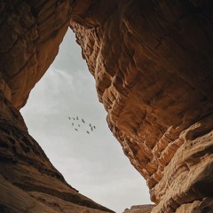 إن الله فالق الحب والنوى - الحرم المدني - الشيخ سعد الغامدي