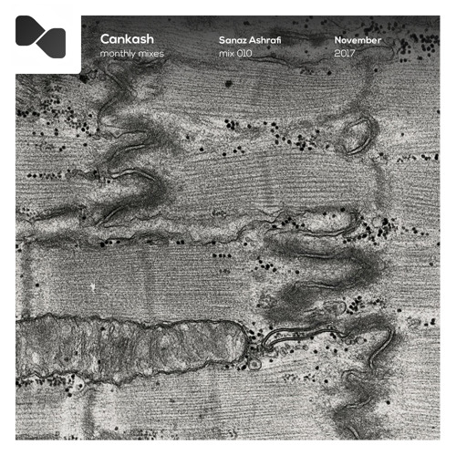 Cankash Mix 010: Sanaz A