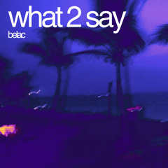 What 2 Say