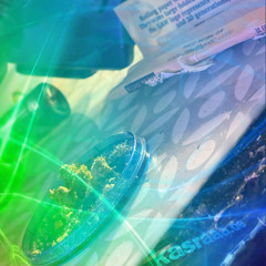 Chirri Picotto Alchemy