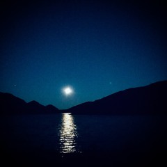 Så mye kan skje på et år