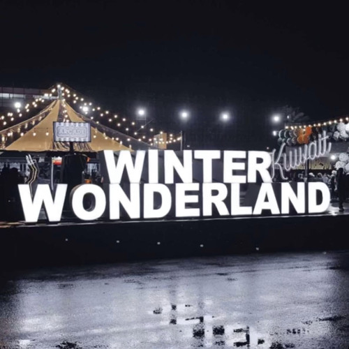 مين فينا مرتاح - وائل جسار